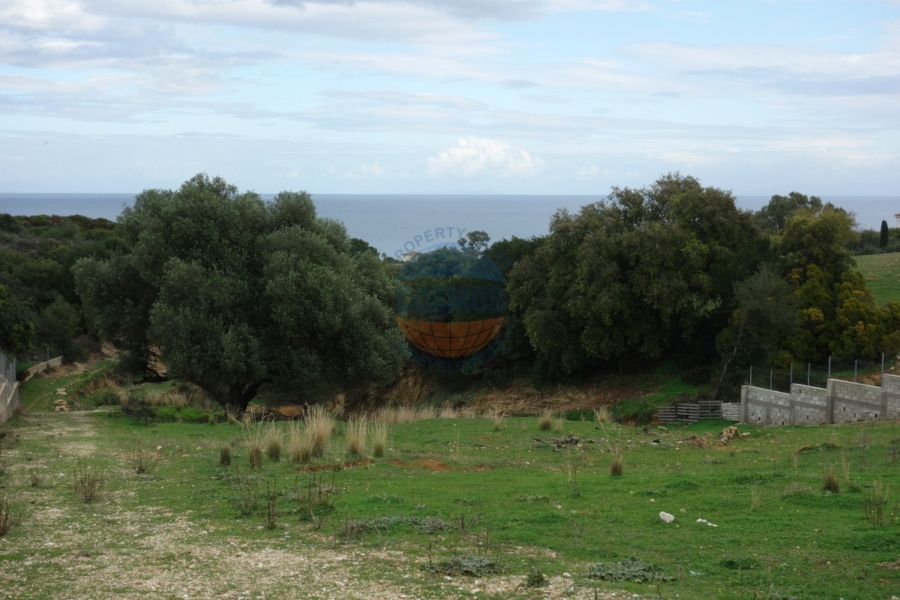 Cosmos Properties Real Estate Agency, Kefalonia