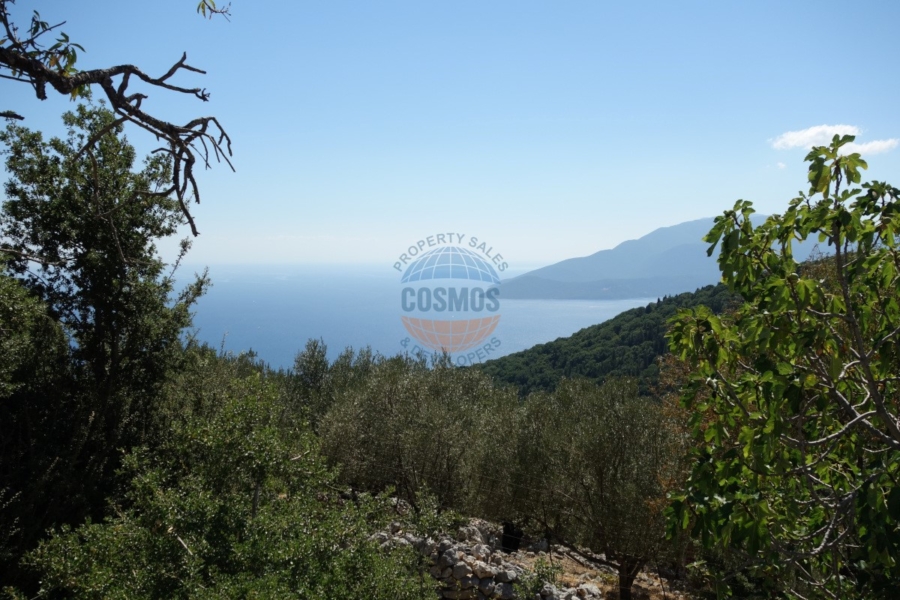 Cosmos Properties Real Estate Agency, Kefalonia